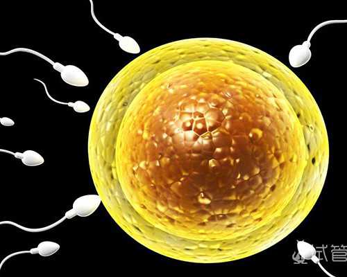 大爱无疆！失独母亲51岁高龄做试管婴儿产下双胞胎