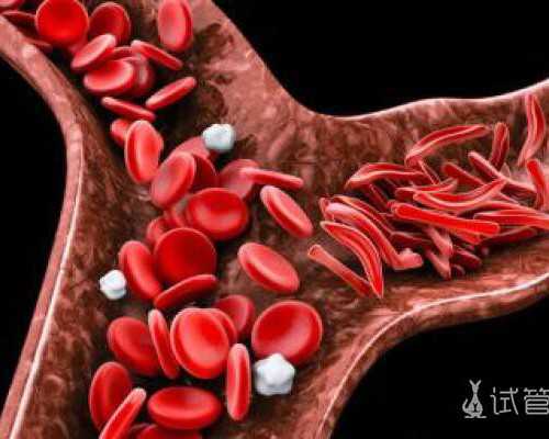 粤北人民医院试管婴儿技术怎么样？成功率高吗？