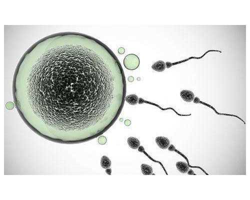 试管婴儿着床后成功率35岁多高？试试这些方法有