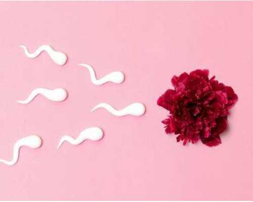 在苏州试管医院做试管婴儿的成功率高吗？