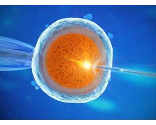 奶瓶多久消毒一次？你做对了吗？