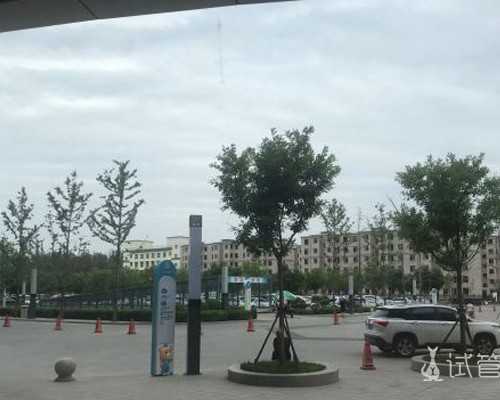 第三代试管婴儿成功率