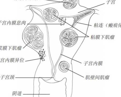 2026中山市博爱医院试管婴儿成功率一览，附2026助孕成功率预估表