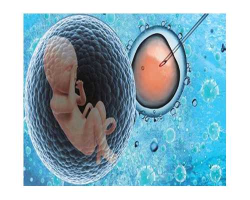 子宫内膜厚度之于海外试管婴儿的重要性