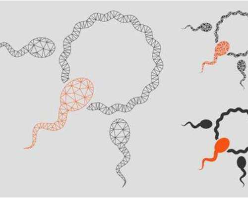 生男生女:容易生女儿的秘方