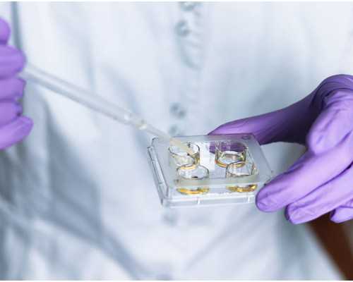 2026东南大学附属中大医院试管婴儿成功率一览，附2026助孕成功率预估表