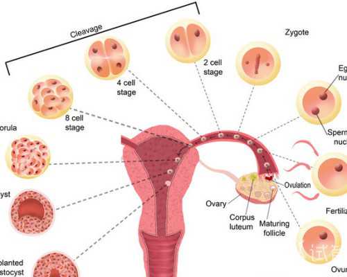 2026苏州生殖中心最好的公立医院是哪家？