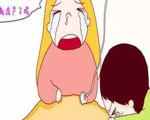 多囊试管婴儿成功率多大