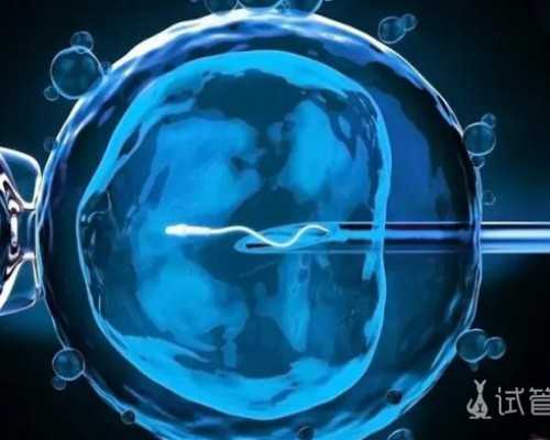 畸形精子多怎么调理~代生性别优选