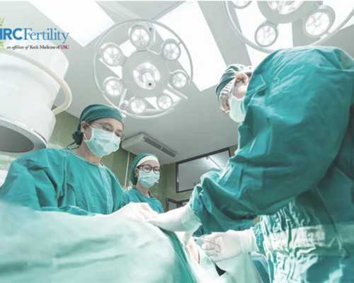 各国奇葩猜：生男生女，其实不科学！(2)