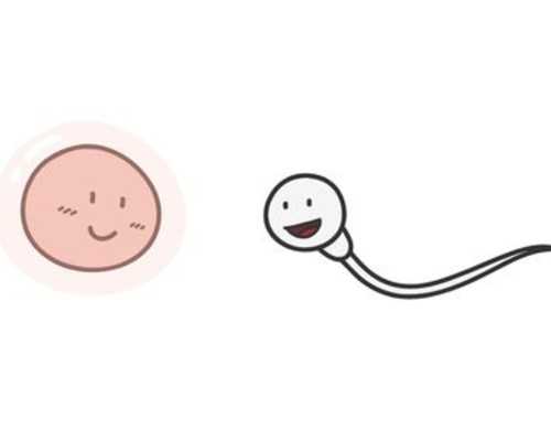 试管婴儿医院冷冻胚胎费用和国内差多少