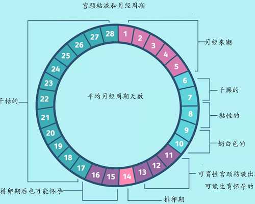 35岁以上做试管婴儿成功率高吗?