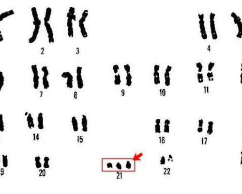 内膜0.7能着床的概率多大？~助孕供卵代生