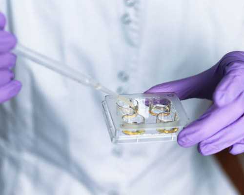 试管婴儿妊娠率较高的医院 成功因素介绍