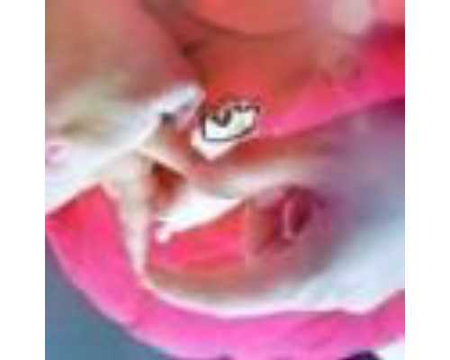 在广医三院做三代试管移植时可以选择生双胞胎吗？