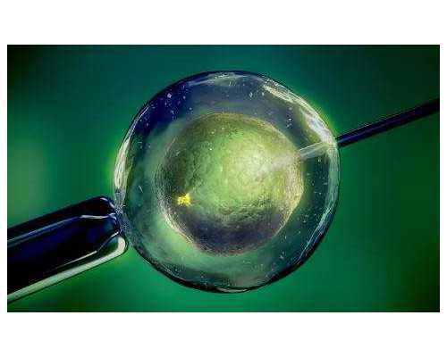 2026盐城妇幼保健院试管婴儿助孕费用和成功率参考