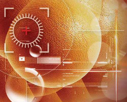 南宁做试管婴儿需要经历哪些流程？