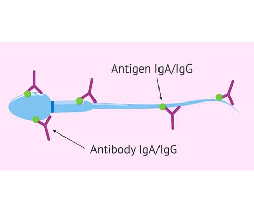 孕妇可以跳绳吗
