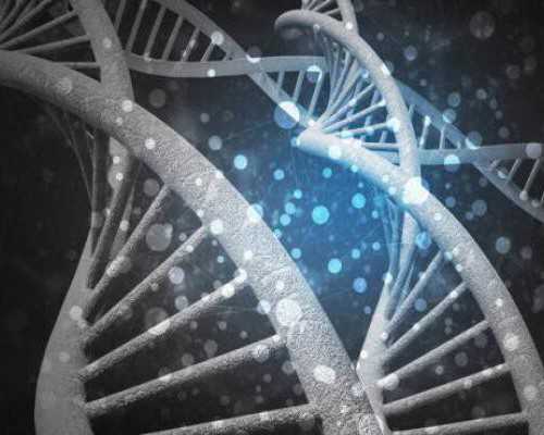 男人患五种遗传病不宜生男孩