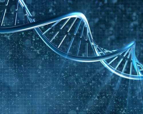 AMH检查是什么？快速检测卵巢是否适合怀孕