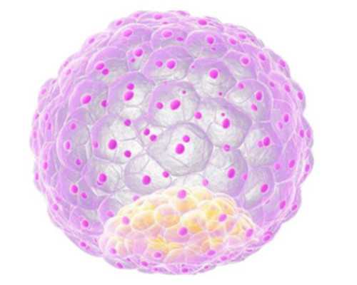 太原试管婴儿费用大概要多少钱？一次大概多少？