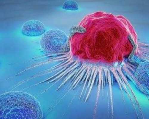 郑大二附院能做供精助孕或供卵助孕吗？