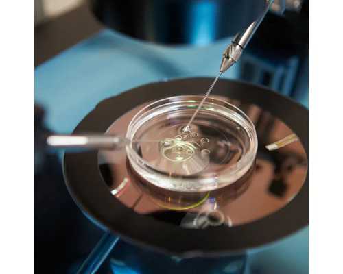 济南做三代试管婴儿费用大概要多少钱?