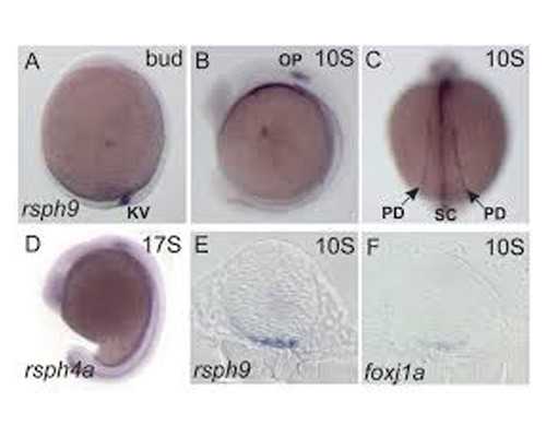 哈尔滨做试管最好的公立医院是哪家？