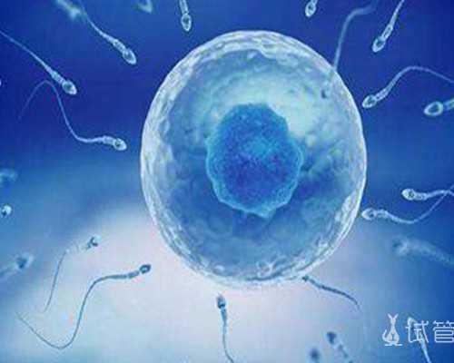 试管婴儿怎么做
