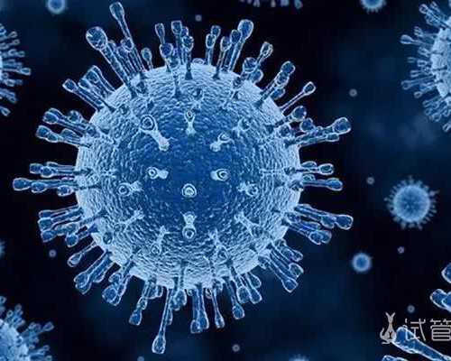 澳洲白金爱他美跟a2奶粉哪个长肉快?