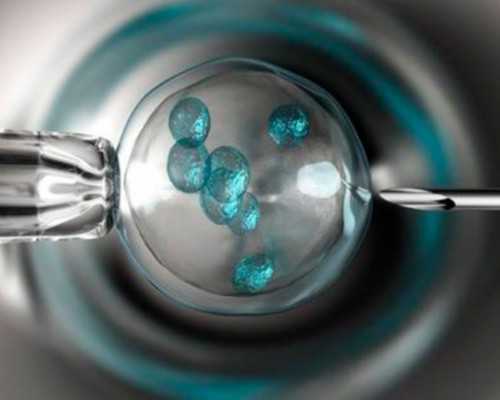 别再乱传了！胚胎移植后不仅能吃海带还好处多多