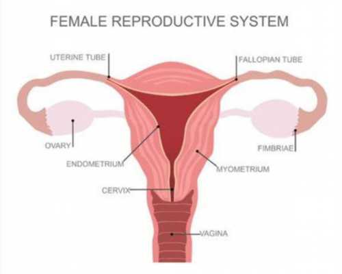 人工授精前不知道怎么办？可以做好这4个准备