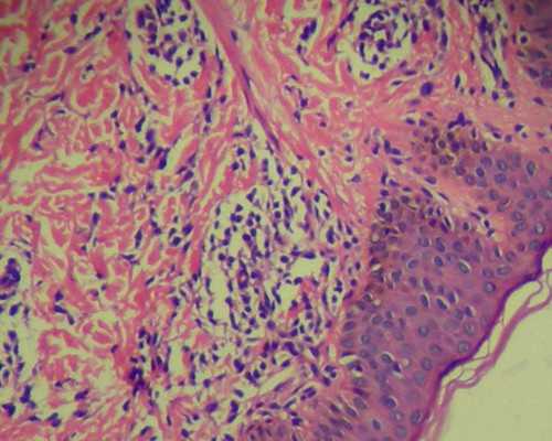 2026年杭州3代试管比较好的医院到底是哪家？
