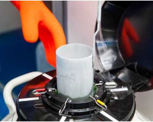 试管能吃芒果吗？有什么水果是不能吃的？