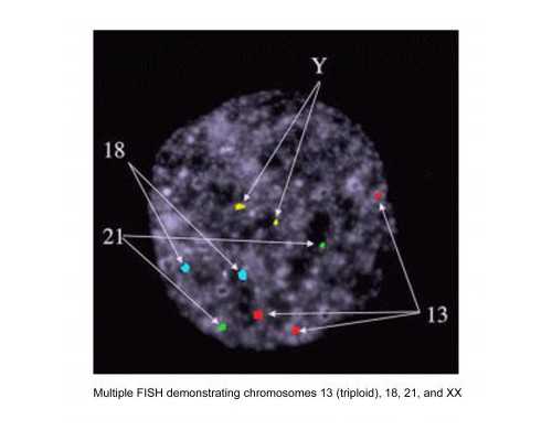 试管婴儿多长时间能测出来？