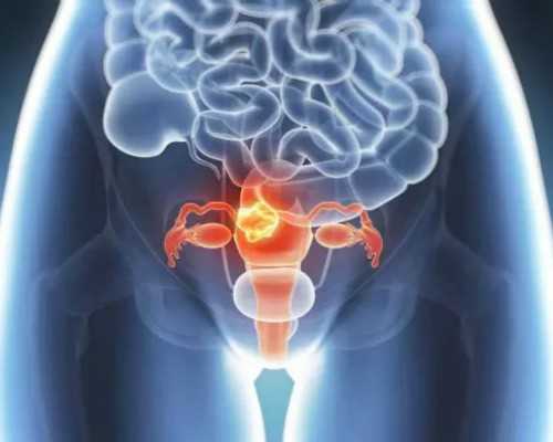 苏州可靠代怀服务费用 在苏州市立医院做三代试管可以移植两个胚胎生双胎吗