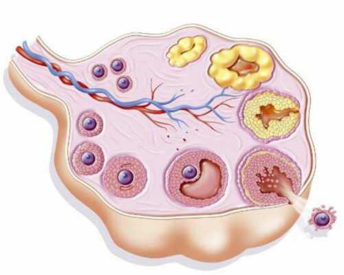 腹胀现象常有发生!普丽康促排别忽视这4大副作用