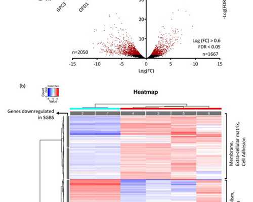 2026年在苏州做试管可以用医保卡报销吗(苏州能做试管婴儿的医院)