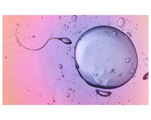 山东幼稚子宫患者做试管医院强十排名，附2026试管助孕费用全面解析