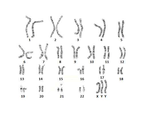 试管取出的卵子不成熟还能在实验室继续培养吗