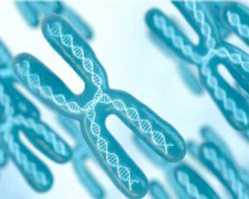 苏州供卵试管服务流程 2026苏州市立医院试管婴儿指南，附助孕费用及成功率