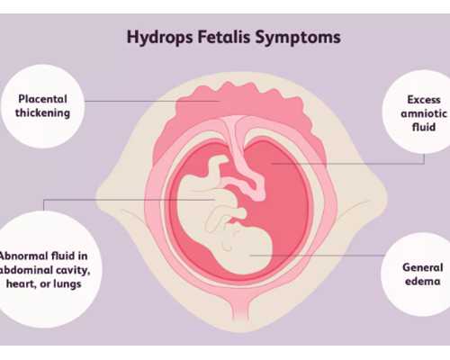 网传备孕偏方不可靠，最新科学生男孩的秘诀大曝光