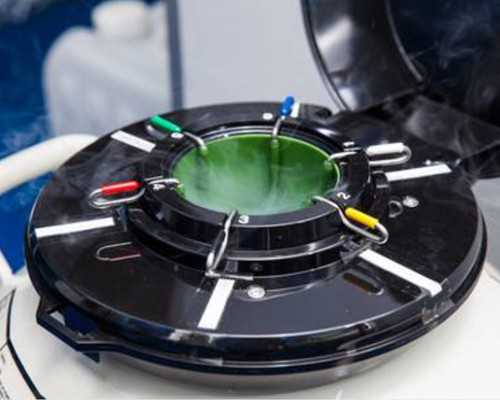 夫妻情感交流在怀孕期间该怎么做？