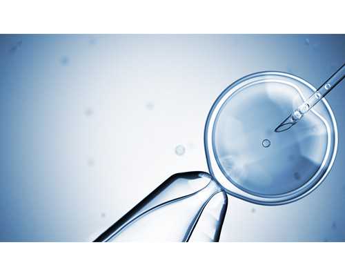 江苏省靖江市有几家做试管婴儿