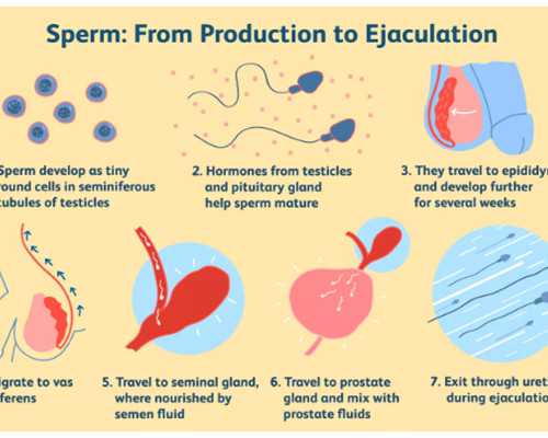 稀有10大血型有哪些呢？什么血型生育能力最强？