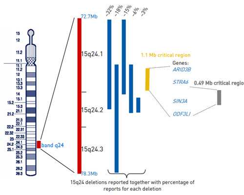 江苏三代试管可以做双胞胎吗