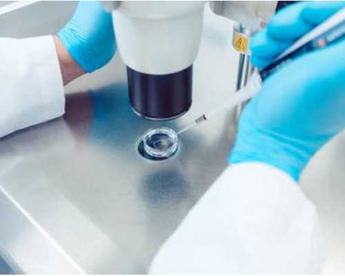 格鲁吉亚试管婴儿时间各有不同,具体多少天视情况而定