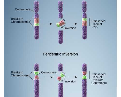 2026做试管选择郑州三附院好还是一附院？
