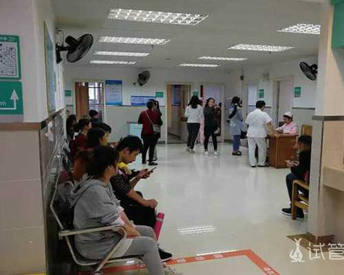 2026年文具盒排行榜,适合儿童的十大品牌新鲜出炉