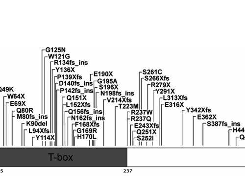 试管婴儿怎么取卵别担心，这4种取卵方法可提前了解